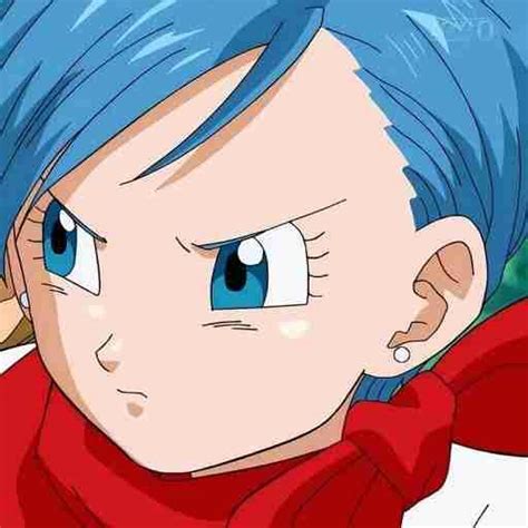 bulma adventure 1 apk|Bulma Adventure 2